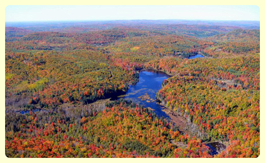 Plan de mise en valeur du territoire de la Réserve Oméga au Lac des loups à La Pêche.