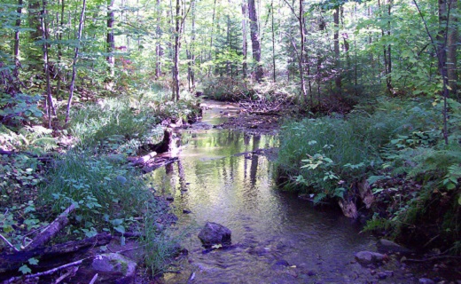 Gestion des cours d'eau pour la MRC des Collines-de-l'Outaouais